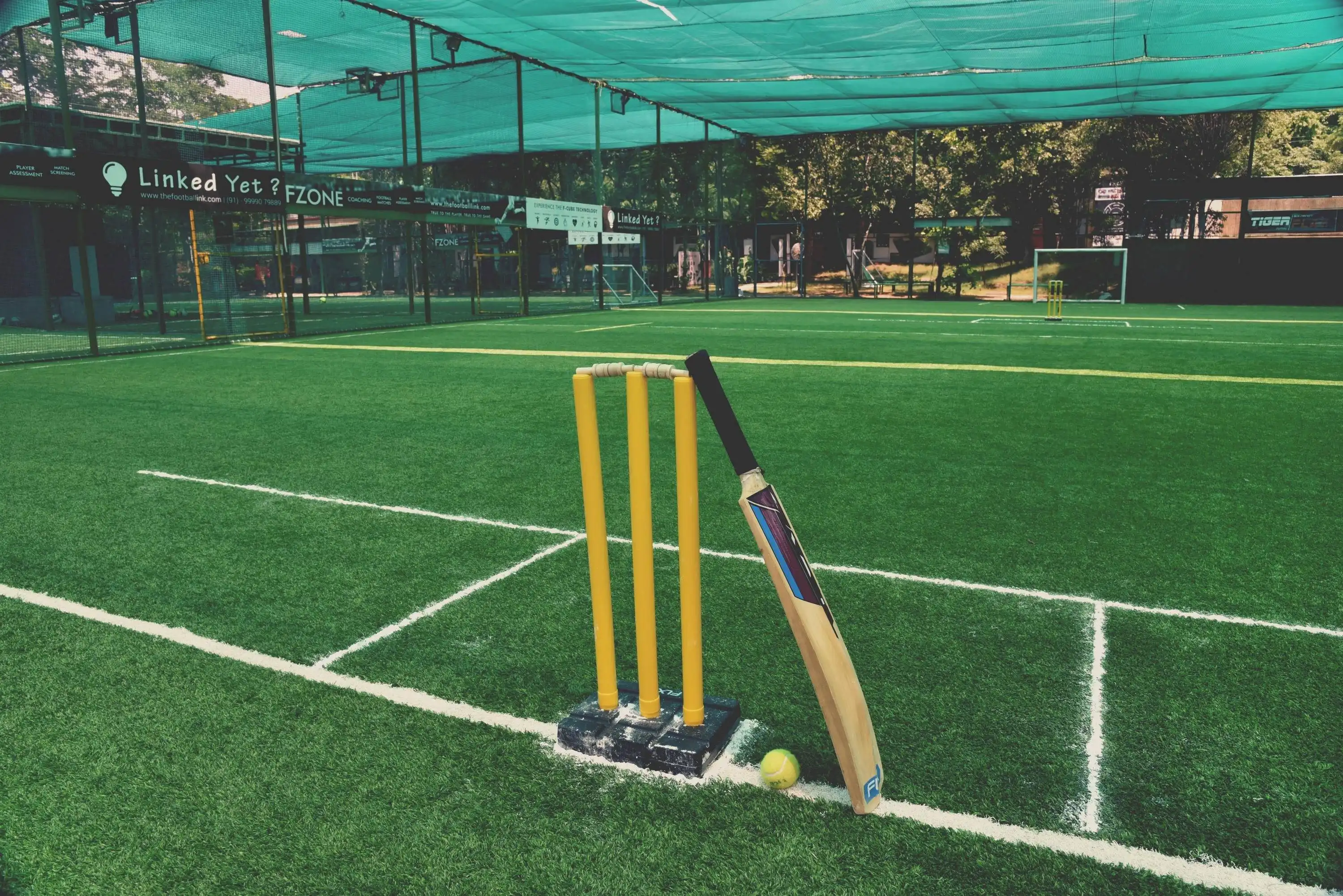 social-icon