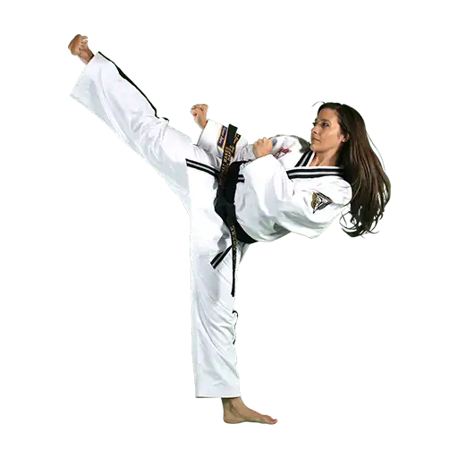 Martial Arts sport icon