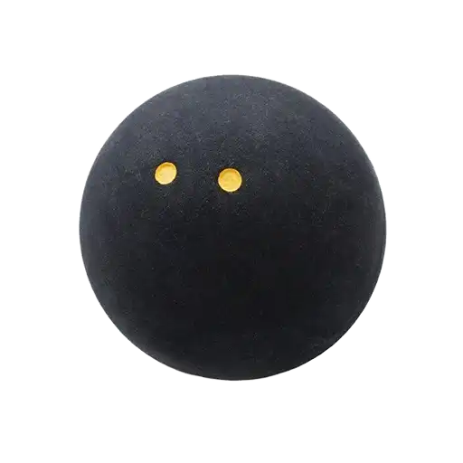 Squash sport icon
