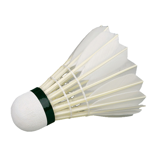 Badminton sport icon