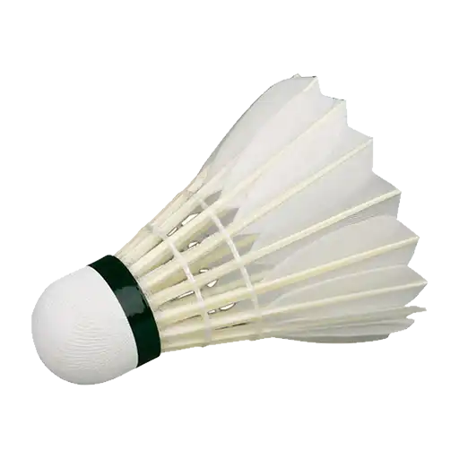 Badminton sport icon