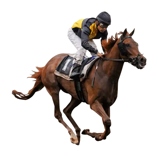 Horse Riding sport icon