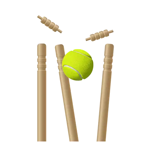 Box Cricket sport icon