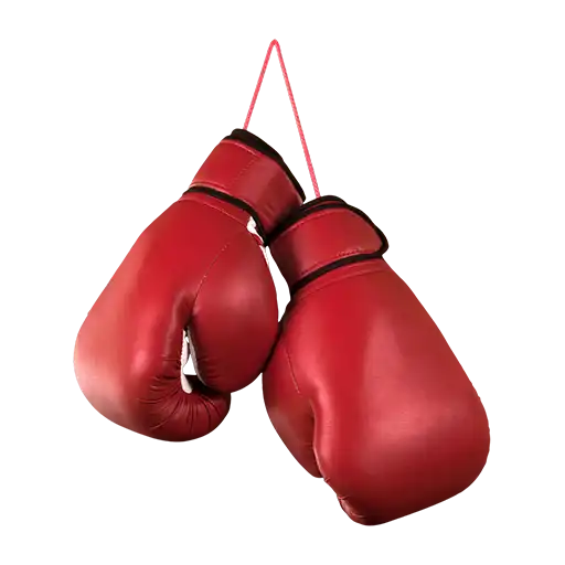 Boxing sport icon
