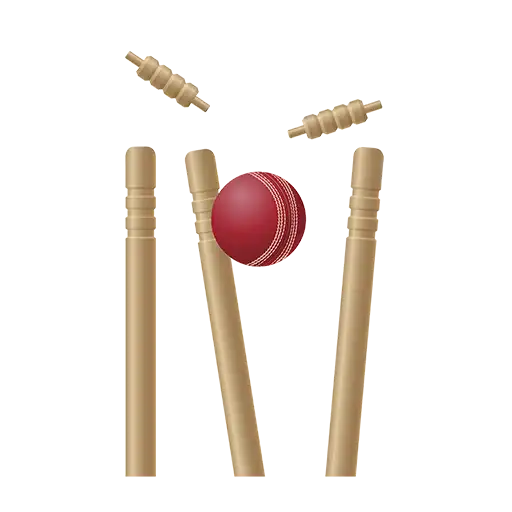 Cricket sport icon