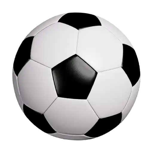 Football Coaching sport icon