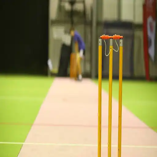 sport icon