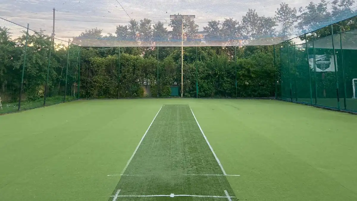 card2-img